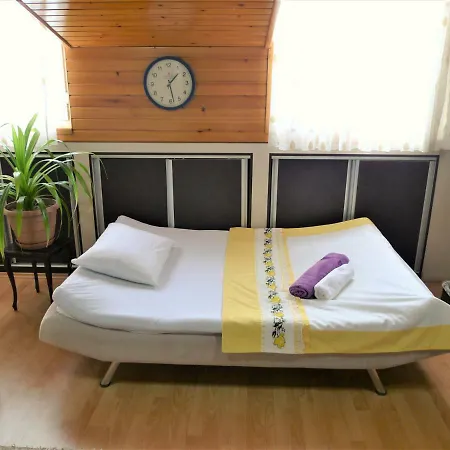 Comfy Roof With Terrace - 4 Th Floor Without Lift-1 Air Conditioner * Denizli (Denizli)