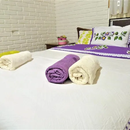 Comfy Roof With Terrace - 4 Th Floor Without Lift-1 Air Conditioner