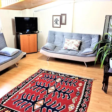 Comfy Roof With Terrace - 4 Th Floor Without Lift-1 Air Conditioner Apartment Denizli (Denizli)