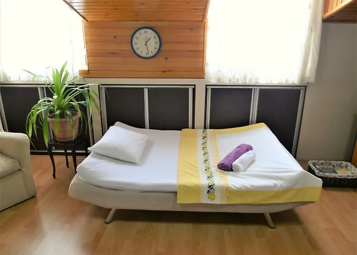 Aydinoglu With Terrace -4 Th Floor Without Lift * Denizli (Denizli)