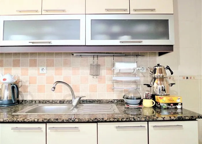 Aydinoglu With Terrace -4 Th Floor Without Lift Apartament Denizli (Denizli)