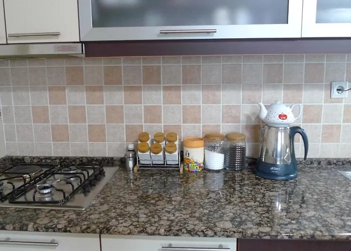 Aydinoglu With Terrace -4 Th Floor Without Lift * Denizli (Denizli)